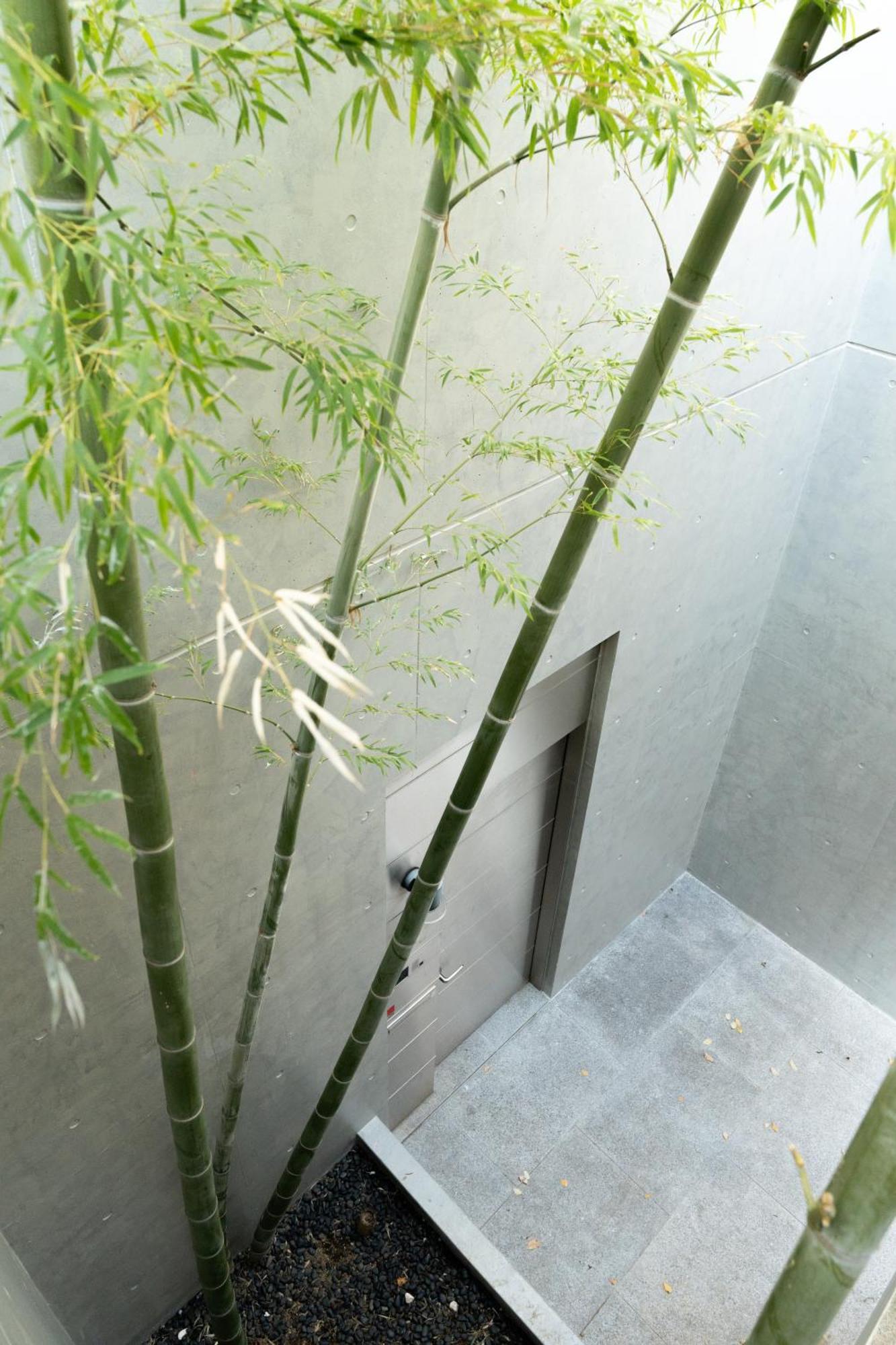 Azabu Modern House The Tokyo Tower Can Be Seen From The Villa 500M2 Bagian luar foto